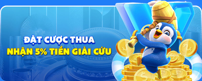 Đặt cược thua nhận ngay 5% tiền giải cứu